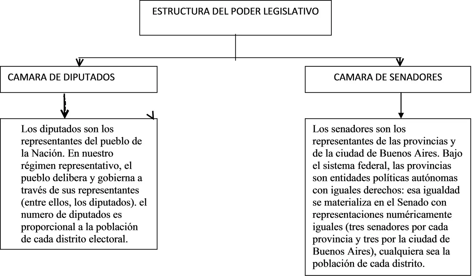articulado