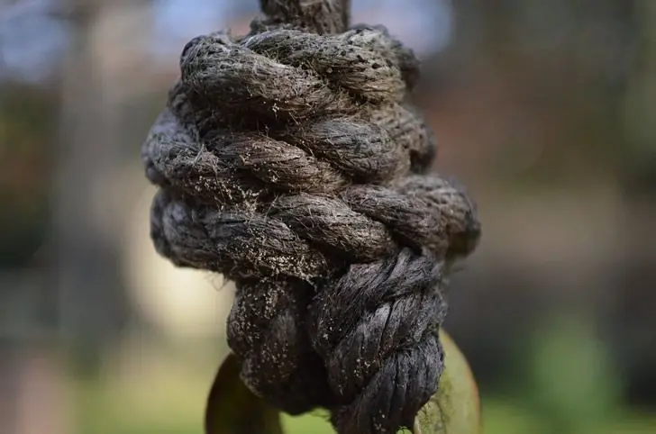 5 dilemas morales. ¿Tú qué harias?