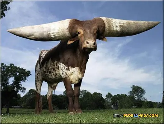 Virgo historia de infidelidad. Actualizado.