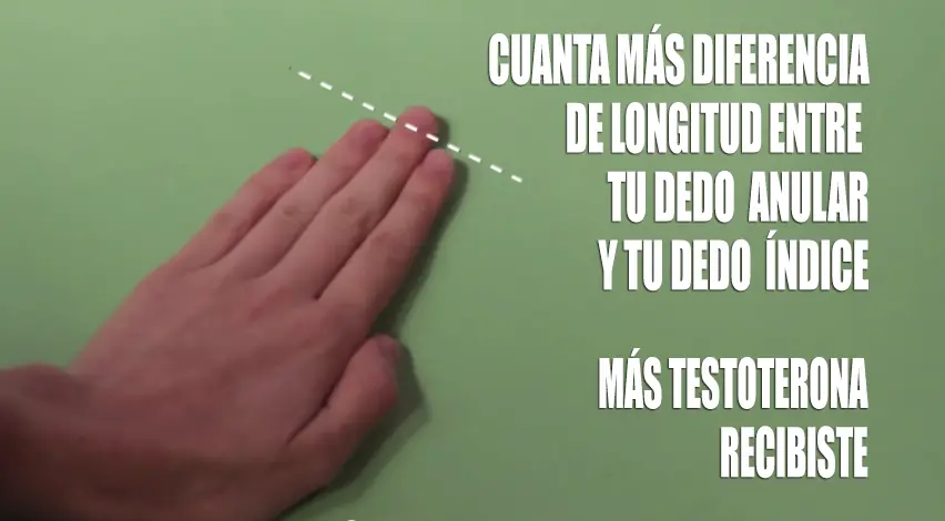 Aburrido? Divertite con test