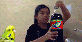 Manaos cola? no papu, Pritty limon
