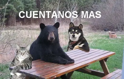 Quieres conseguir chicas lindas en verdad. Este es tu post.