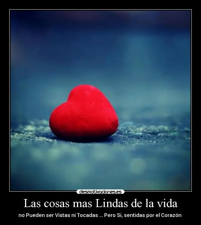 Olvides