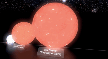 promedio de vida en argentina