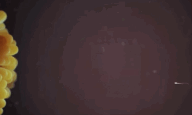 promedio de vida en argentina