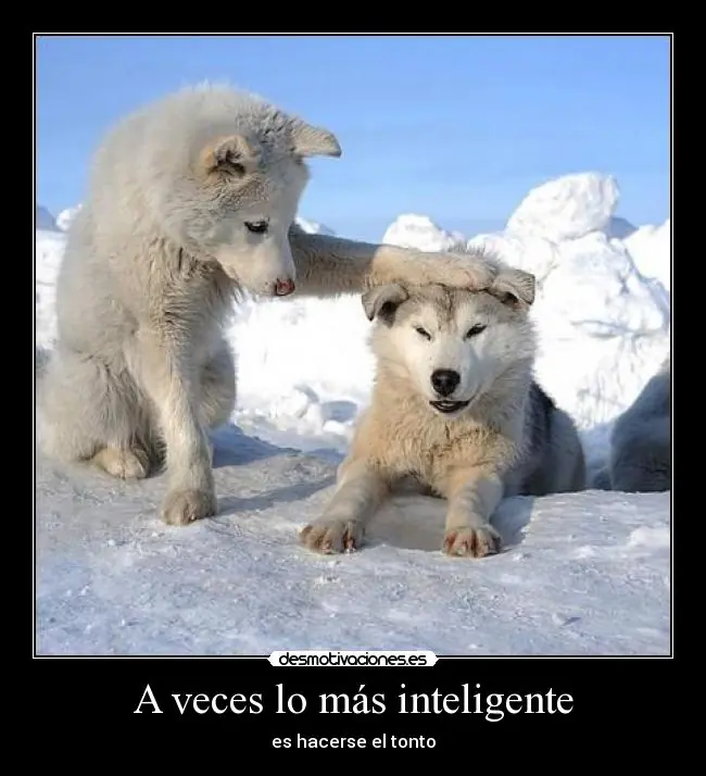cosas