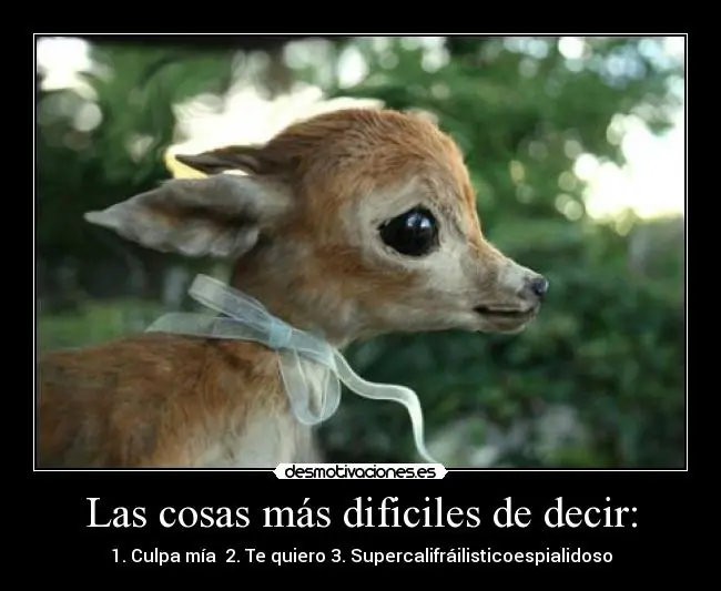 nunca