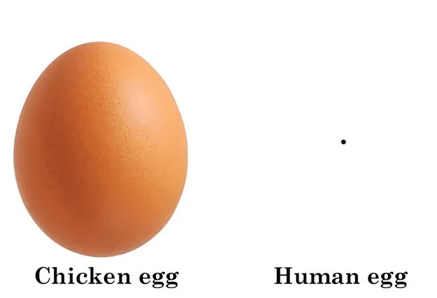 Para que sepas que aunque seas taringuero sos un milagro