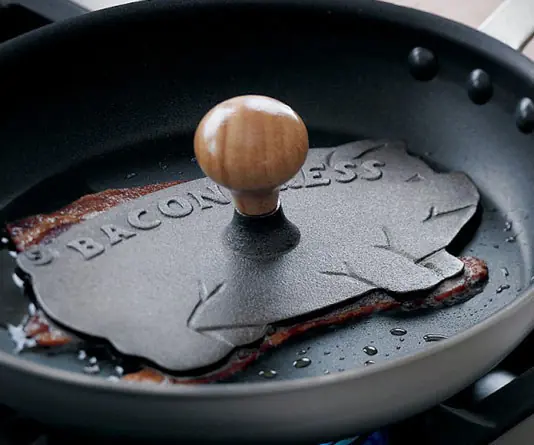 carnivoros