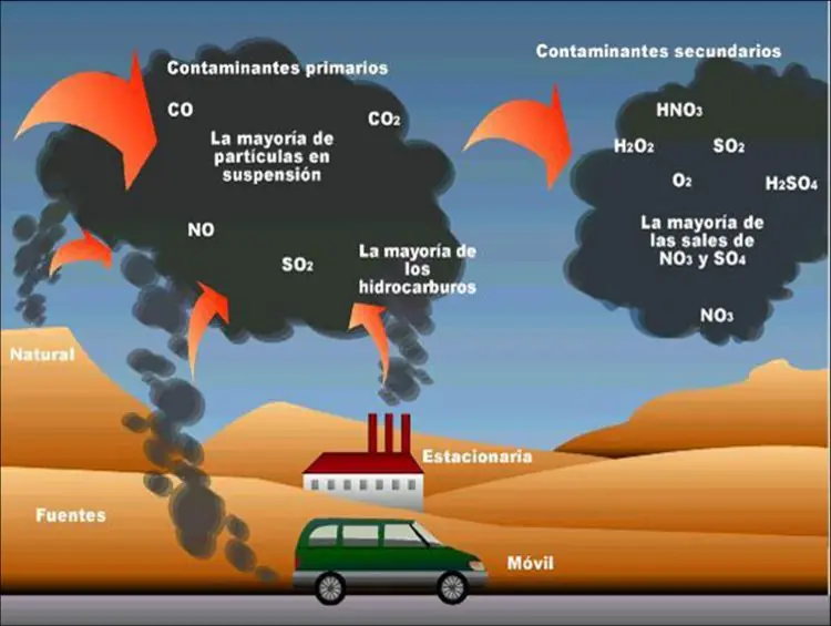 inteligencia colectiva