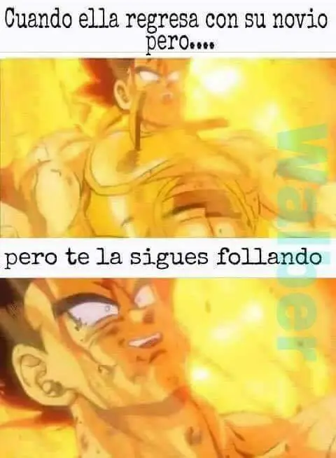 Te gusta el meme de Bardock? Entra lince!