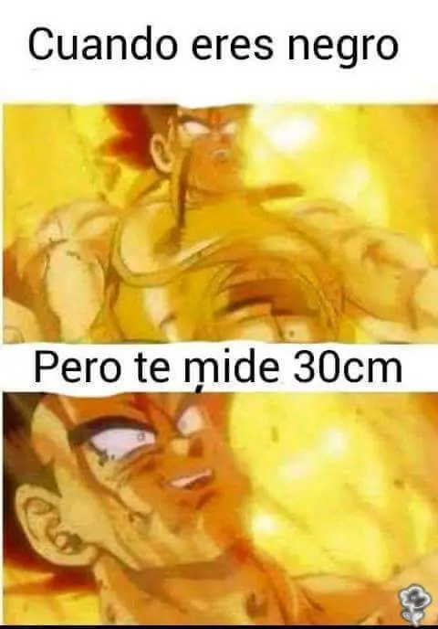 pero nadie las lee