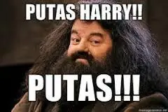 harry