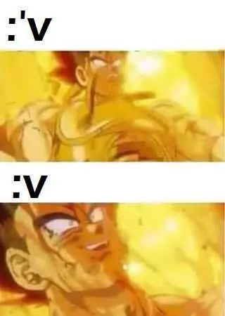 Te gusta el meme de Bardock? Entra lince!