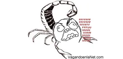 memes