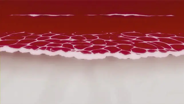 ikari