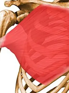 ejercitar