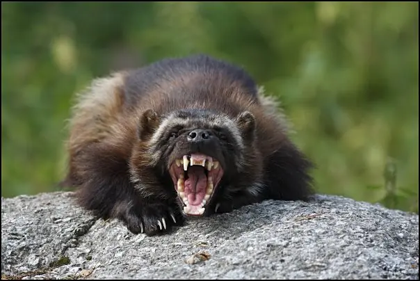 Títulos de películas que fueron destrozados por España