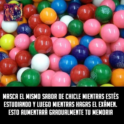 taringa on