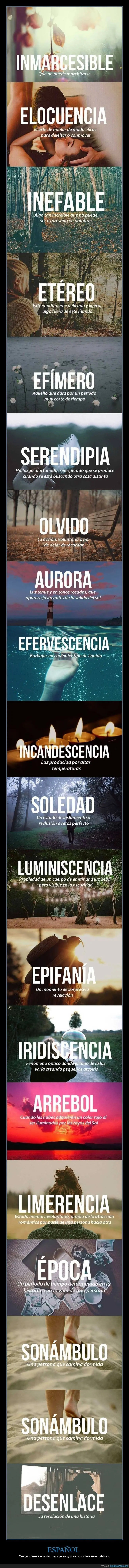 imagenes