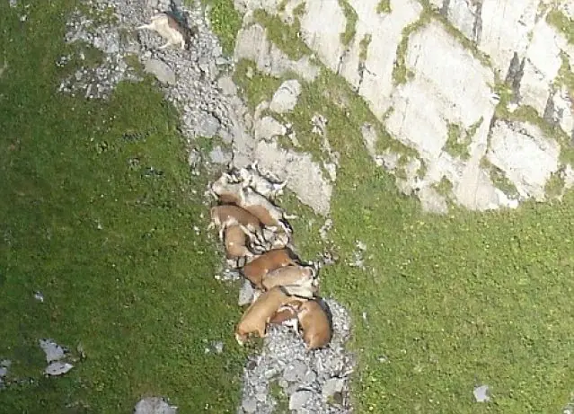 preguntas de la vida