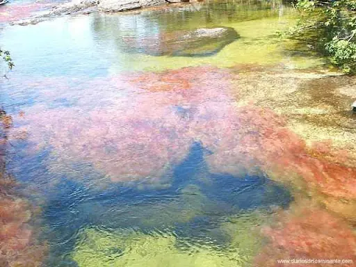 Colombia es Pasión.... Colombia es una Chimba!!!!  Parte 2