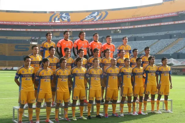 tigres