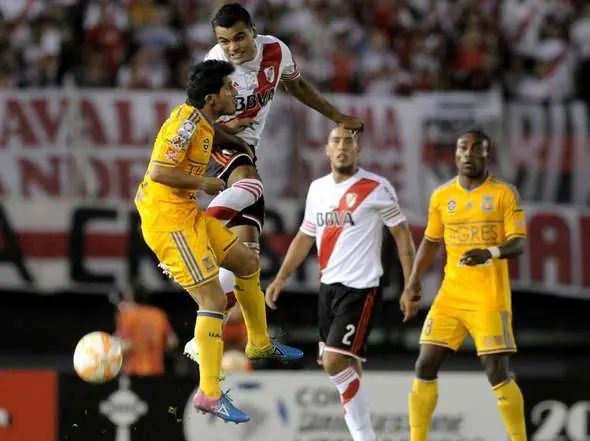 tigres