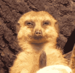 Megapost del "desmayo" de Sabella.