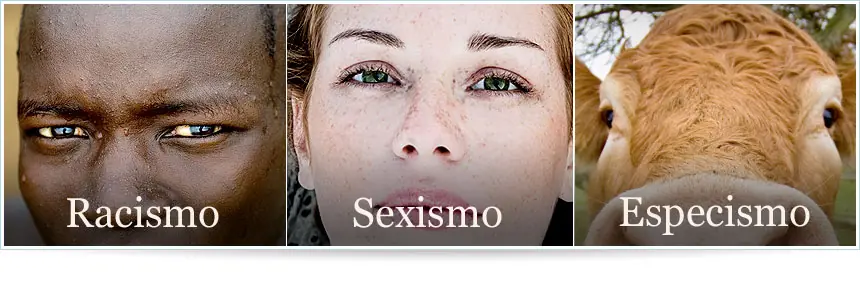 Especismo: discriminación análoga al sexismo y al racismo