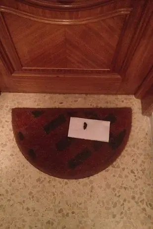 Vecinos dramaticos - Entra y cagate de risa.