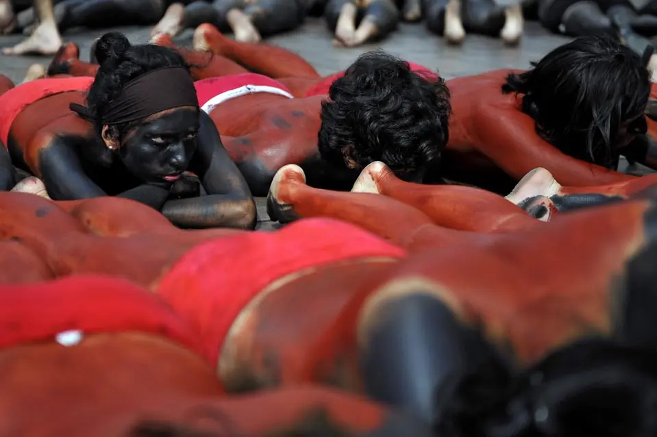 toros