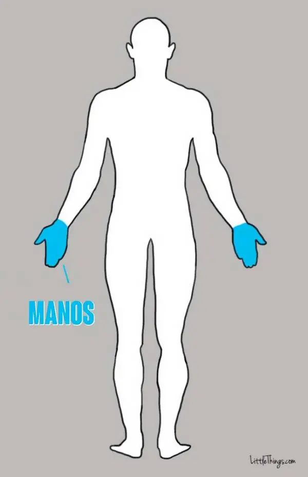 Mira como afectan tus emociones al cuerpo