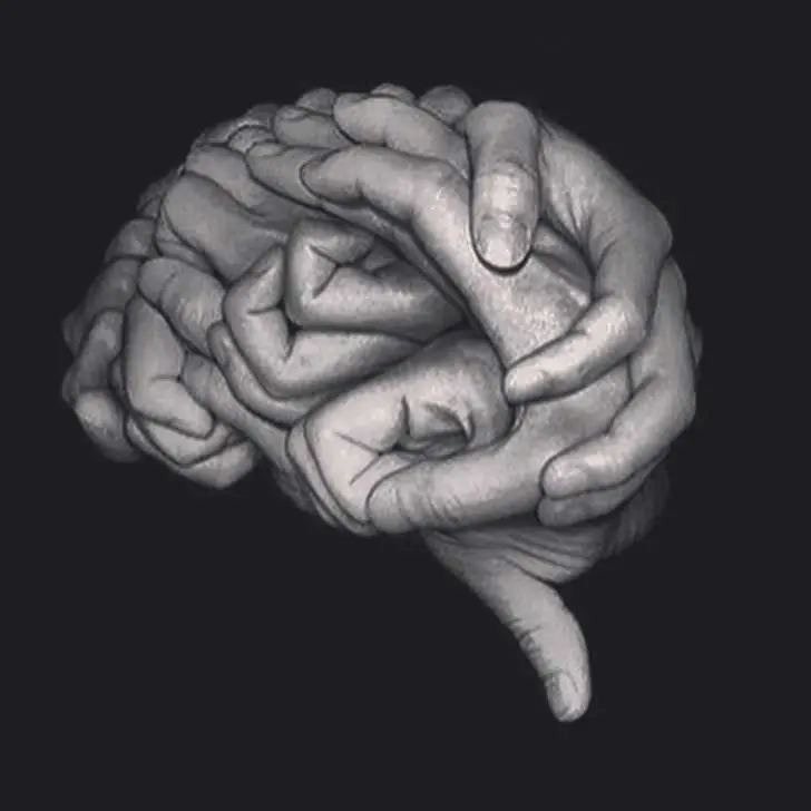 Conocé a tu Cerebro! 43 datos interesantes..