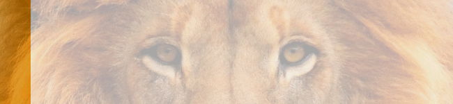 Sabias que? no papá. Sandías que?