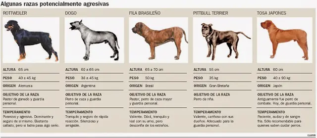 que hacer si te ataca un perro