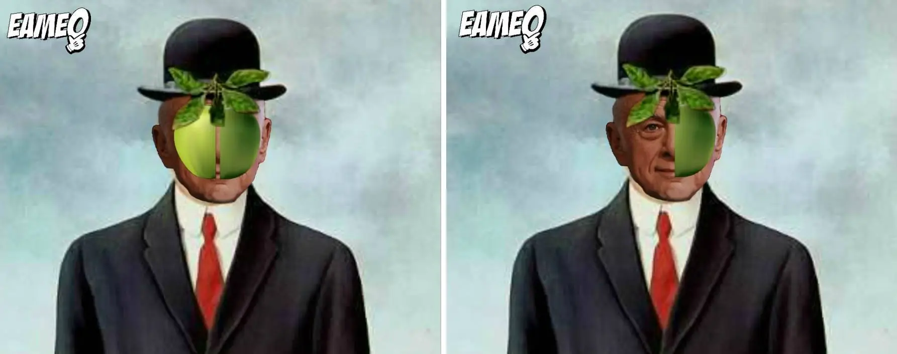eameo