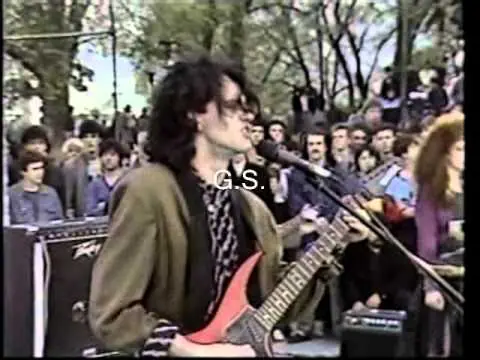 cancion animal