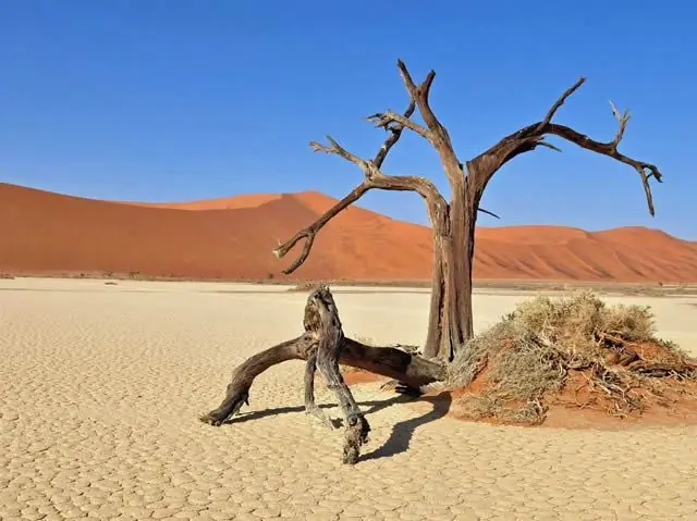 paisajes extranos que parecen de