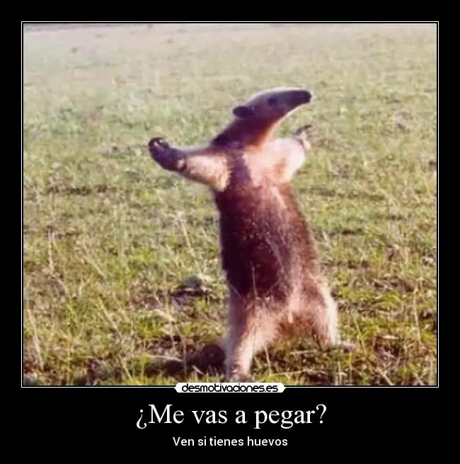 de mierda
