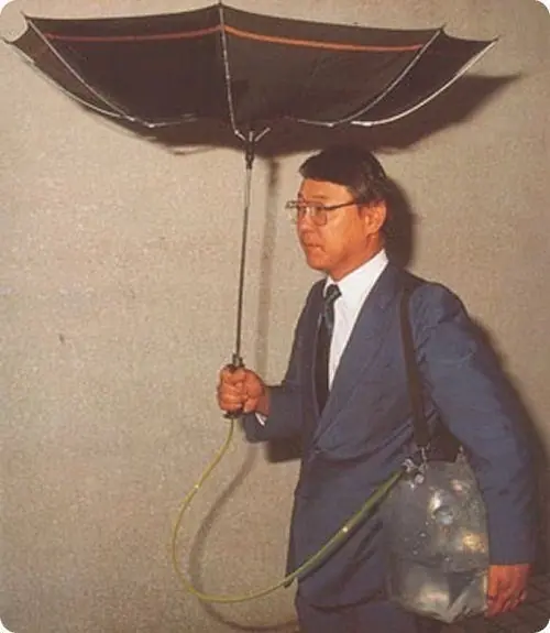 japonenes
