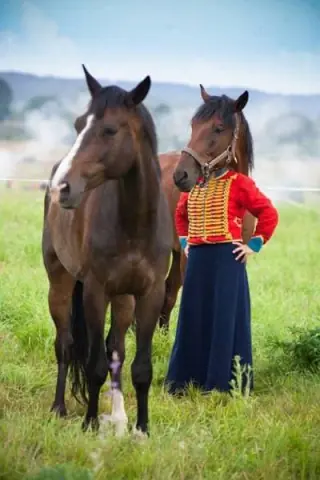 25 Fotos que te engañaran a simple vista
