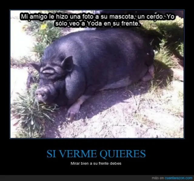 imagenes