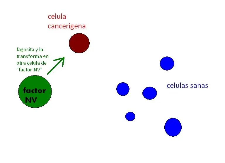 te explico mi teoría de infección zombie con dibujitos