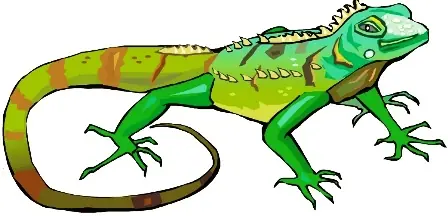 galinasY