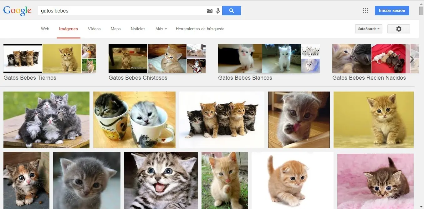 busca en google