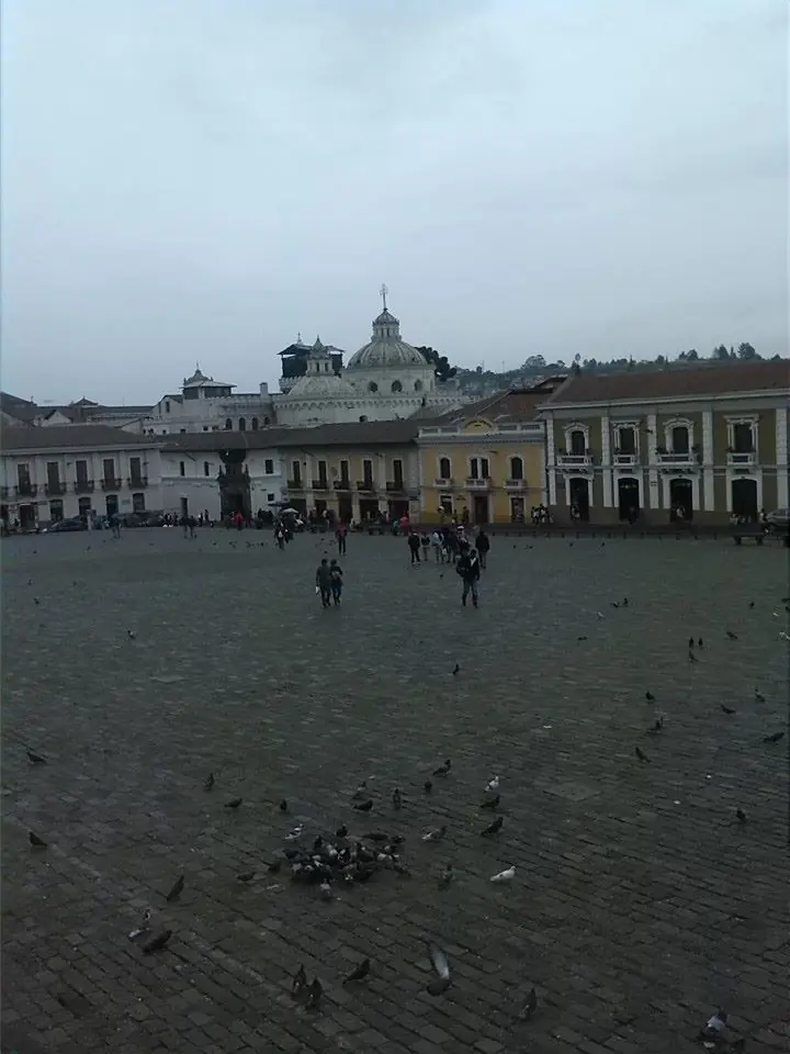 bachaquero