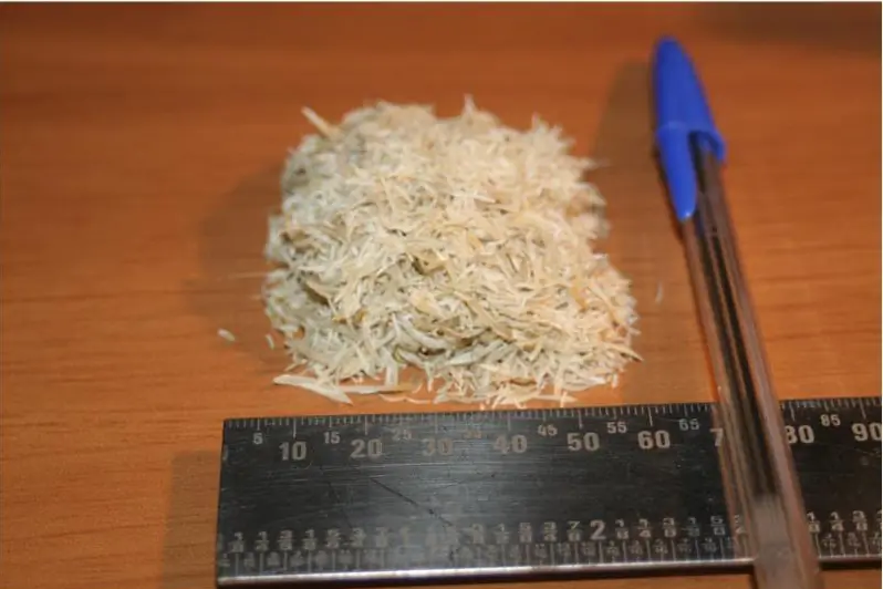 Los records mundiales más asquerosos