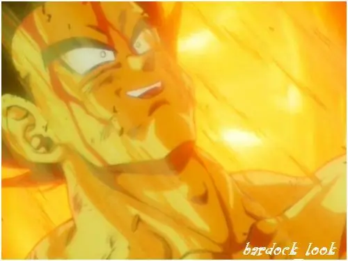 [Encuesta]  ¿Como debería haber sido el atque a 4chan?