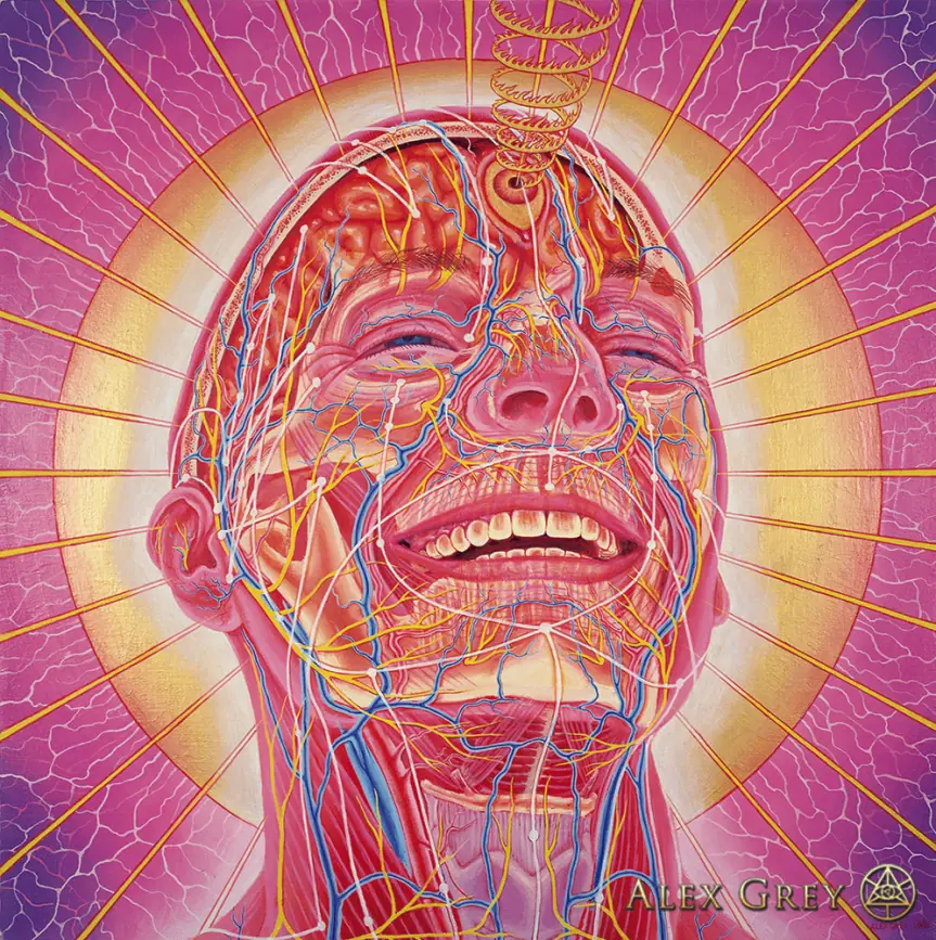 El arte psicodélico de Alex Grey